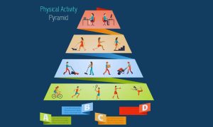 Sedentary Activities Physical Activity Pyramid